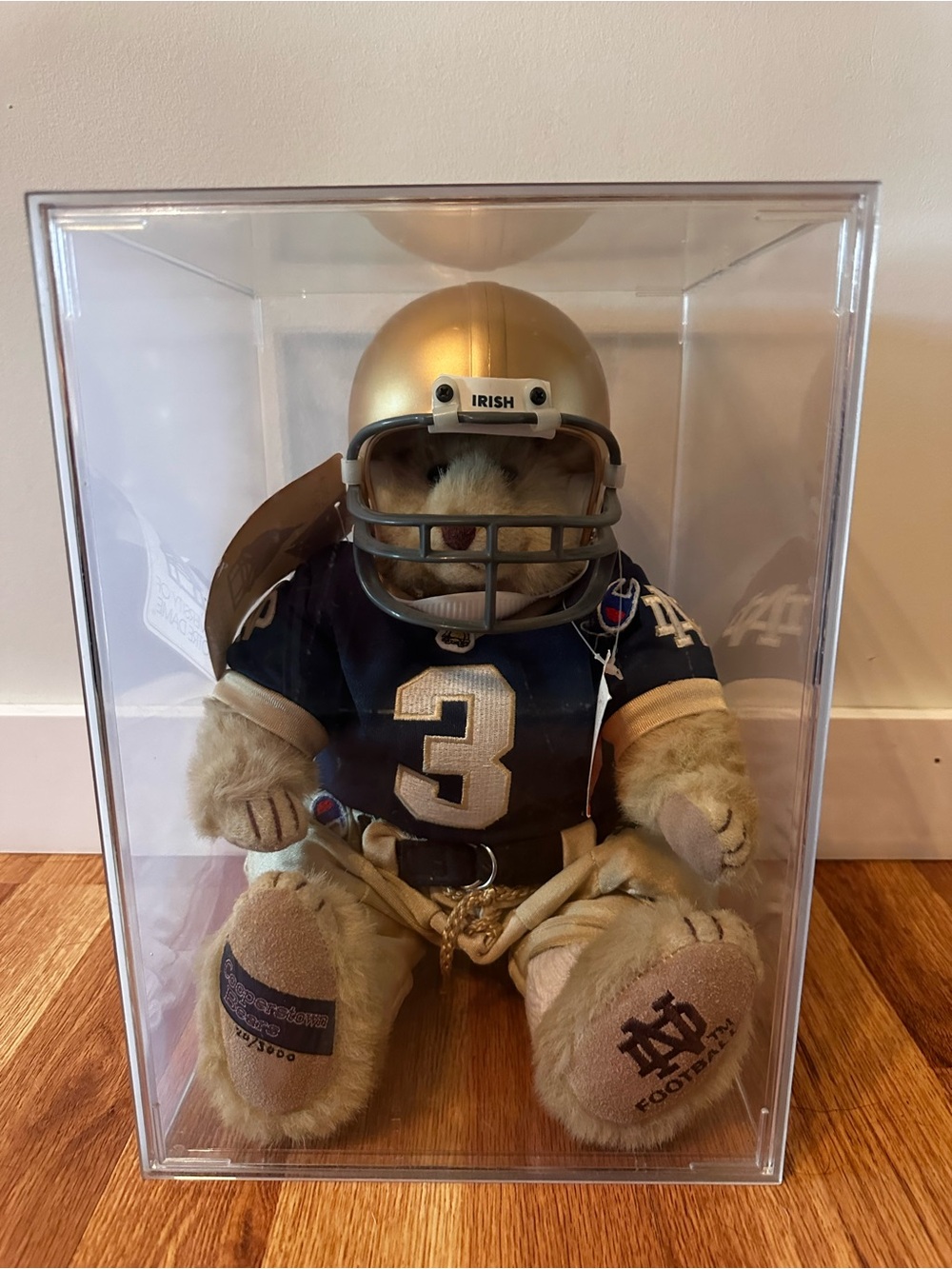 Notre Dame Cooperstown Bears